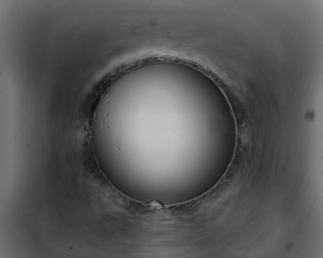 X0000102351495200808081142