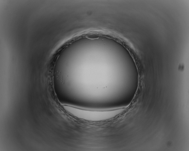 X0000102351496200808081142