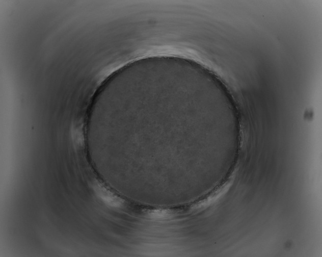 X0000102351497200808081142