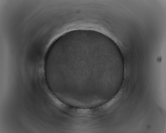 X0000102351498200808081142