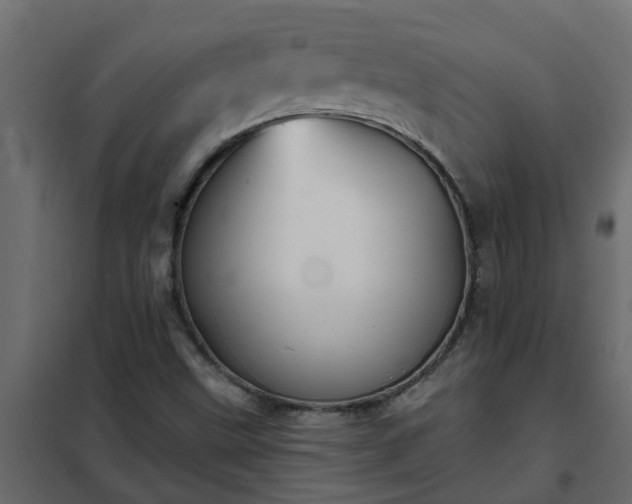 X0000102351499200808081142