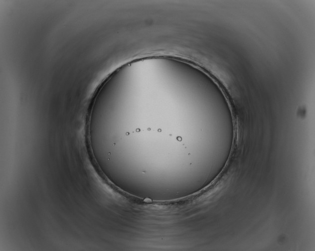 X0000102351500200808081142