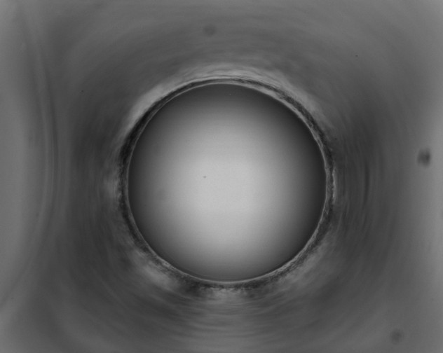 X0000102351501200808081142