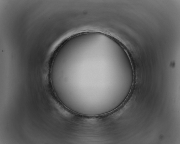 X0000102351502200808081142