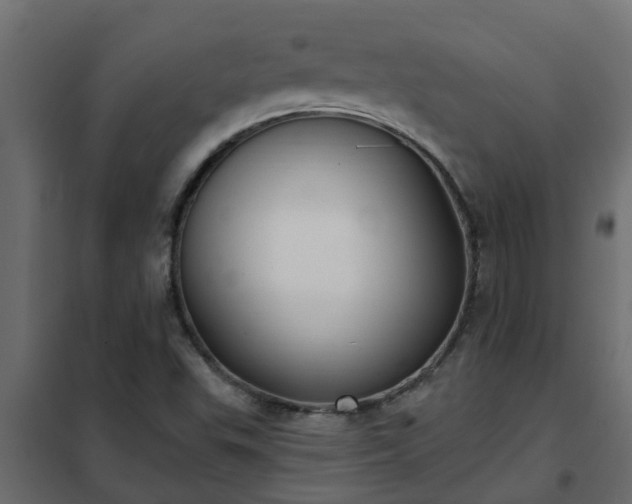 X0000102351503200808081142