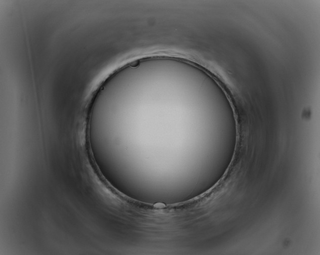 X0000102351504200808081142