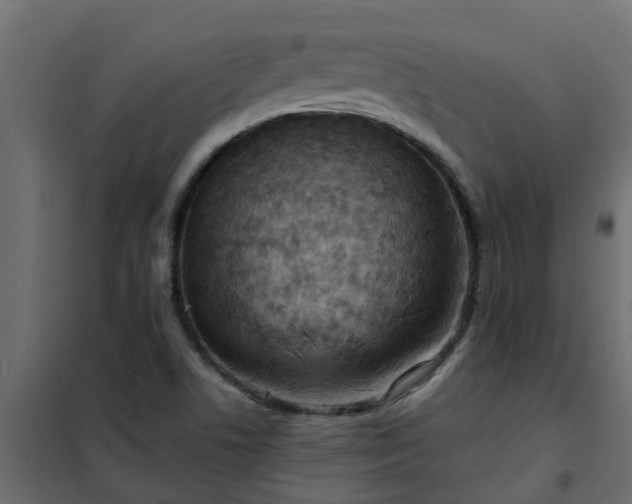 X0000102351506200808081142