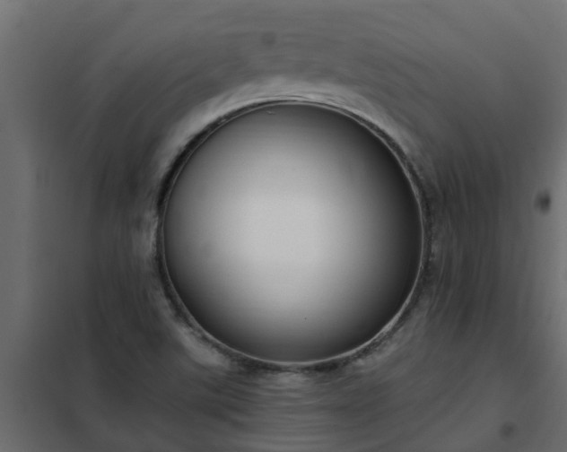 X0000102351507200808081142