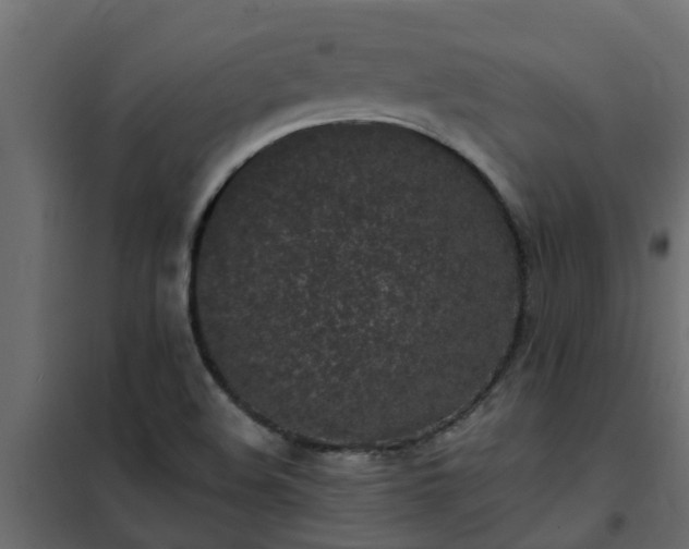 X0000102351508200808081142