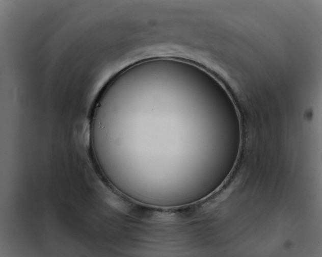 X0000102351509200808081142