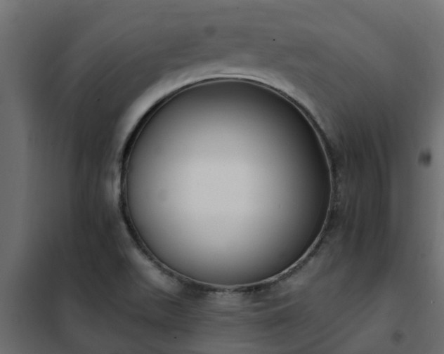 X0000102351511200808081142