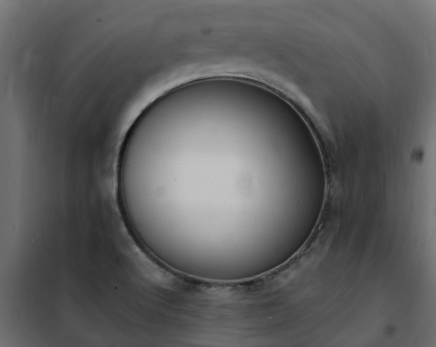 X0000102351512200808081142