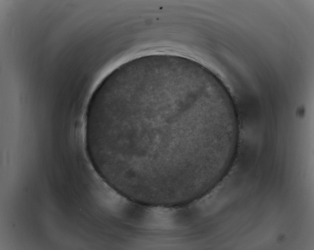 X0000102351514200808081142