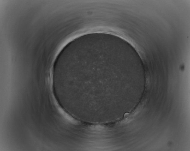 X0000102351515200808081142