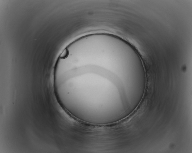 X0000102351516200808081142