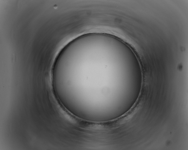 X0000102351517200808081142