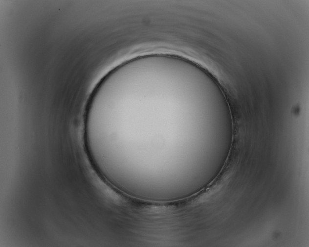 X0000102351518200808081142