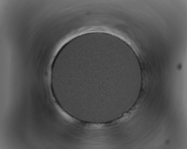 X0000102351519200808081142