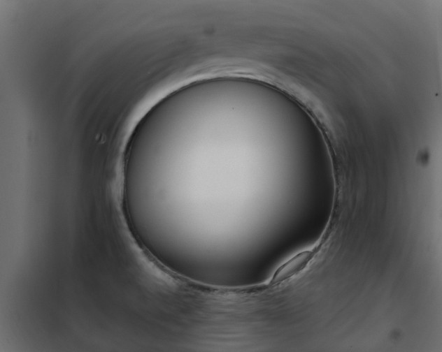 X0000102351520200808081142