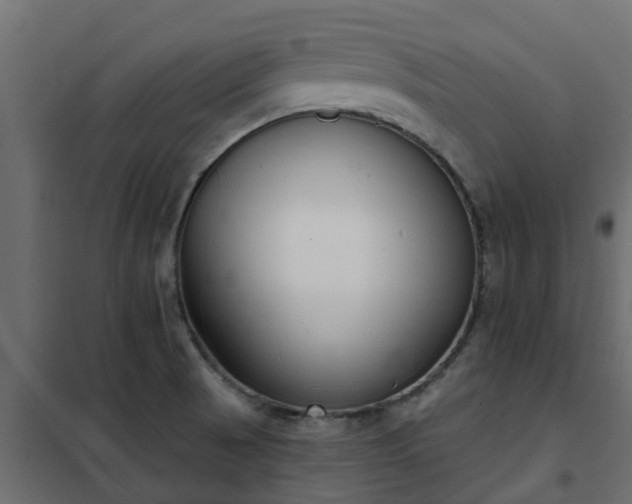 X0000102351521200808081142