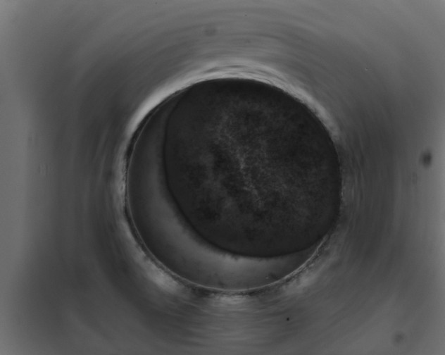 X0000102351522200808081142