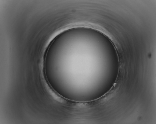 X0000102351523200808081142