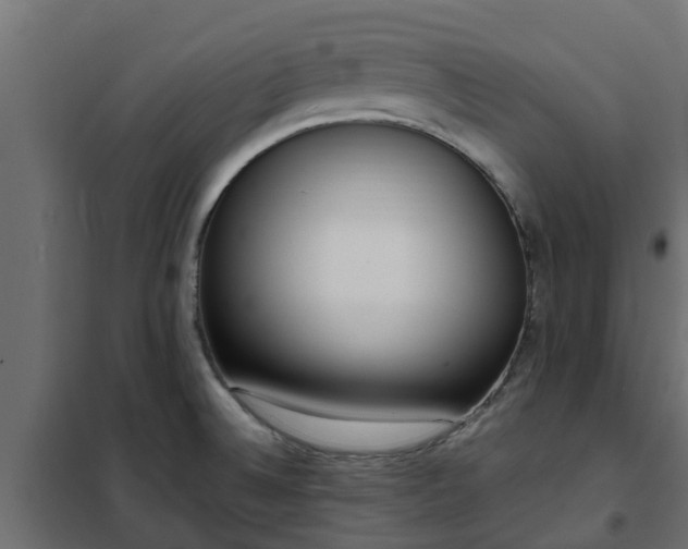 X0000102351524200808081142