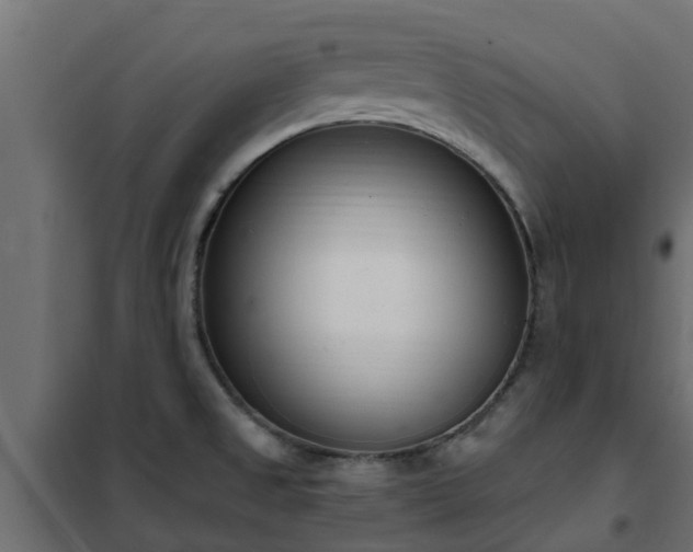 X0000102351525200808081142