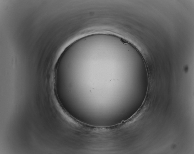 X0000102351526200808081143