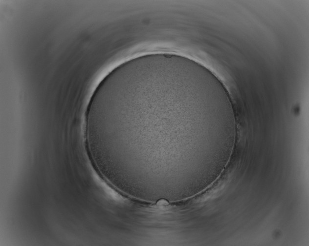 X0000102351527200808081143