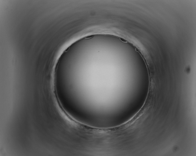 X0000102351528200808081143