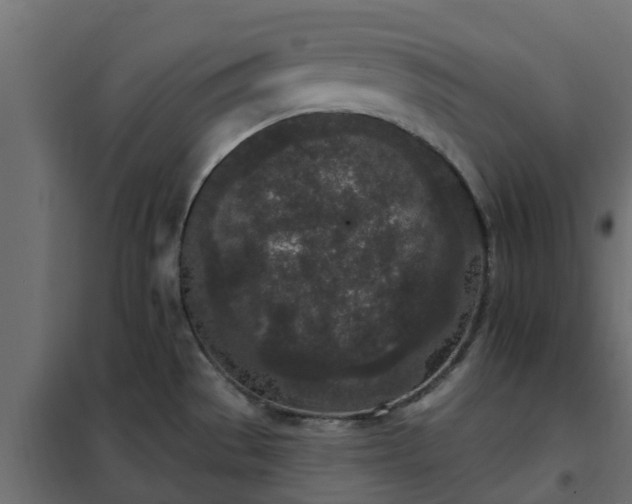 X0000102351529200808081143