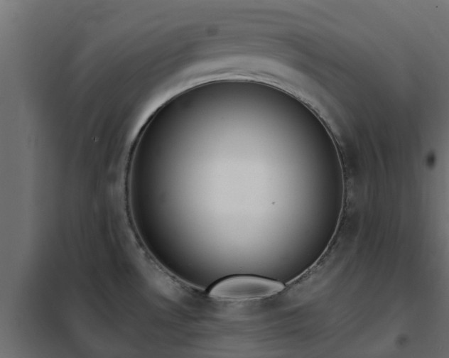 X0000102351530200808081143