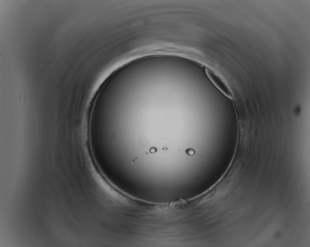 X0000102351531200808081143