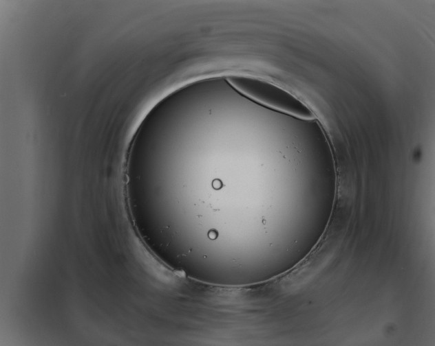 X0000102351532200808081143