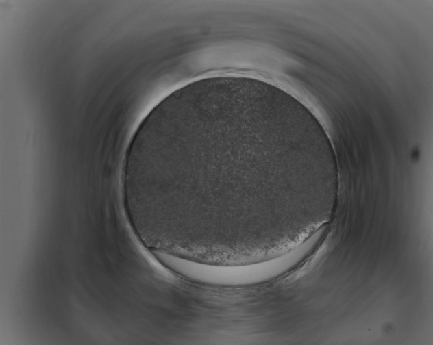 X0000102351533200808081143