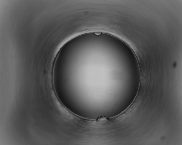 X0000102351534200808081143