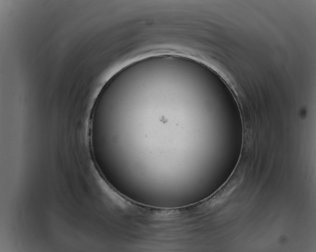 X0000102351535200808081143