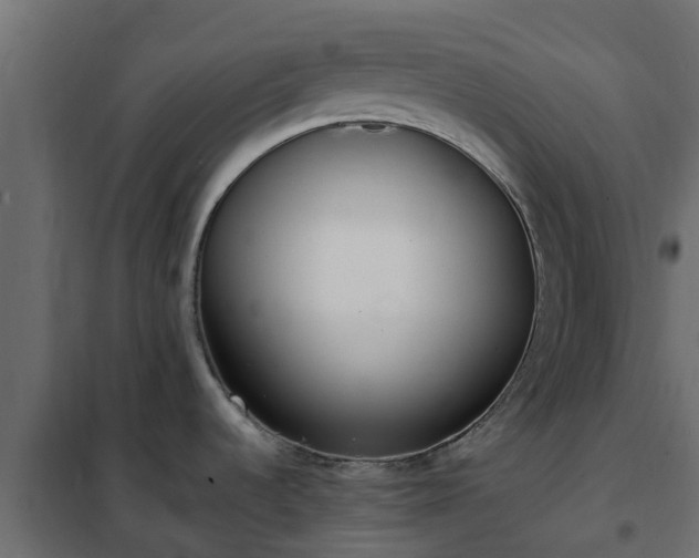 X0000102351536200808081143