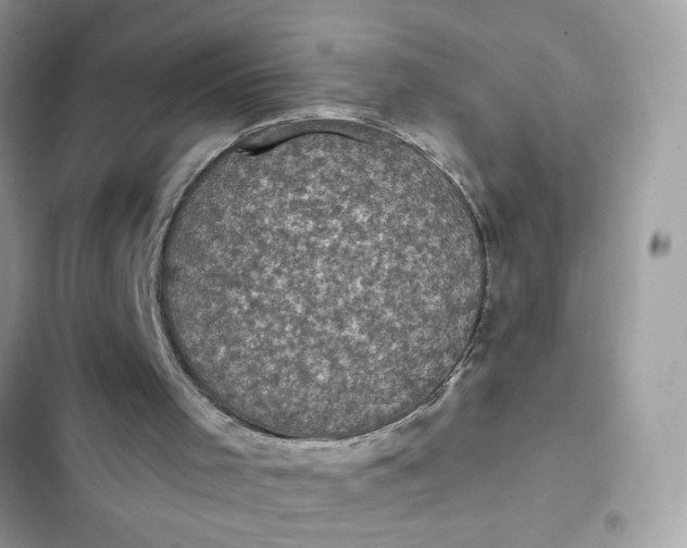 X0000102350001200808151801