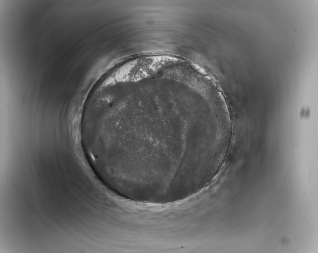 X0000102350002200808151801