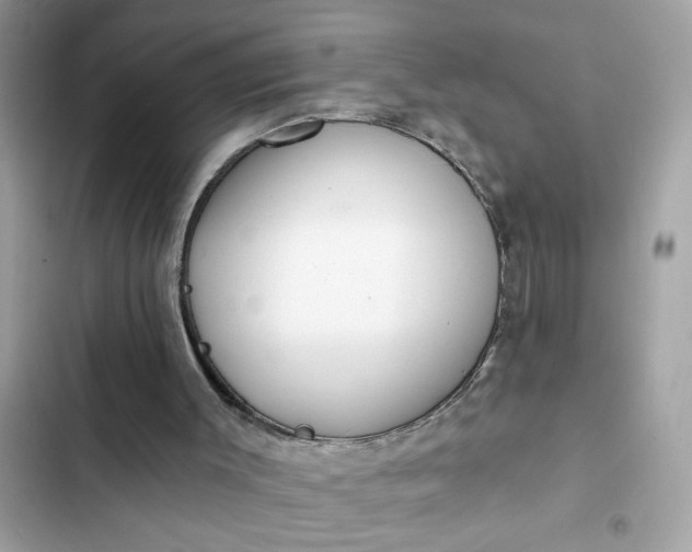 X0000102350003200808151801