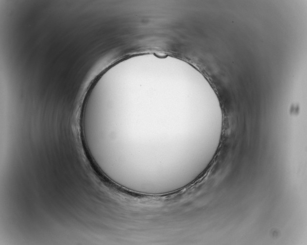 X0000102350004200808151801