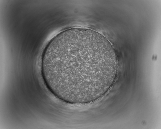 X0000102350005200808151801