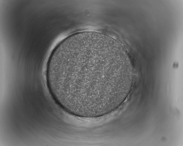 X0000102350006200808151801