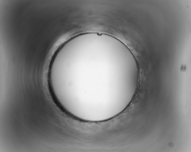 X0000102350007200808151801