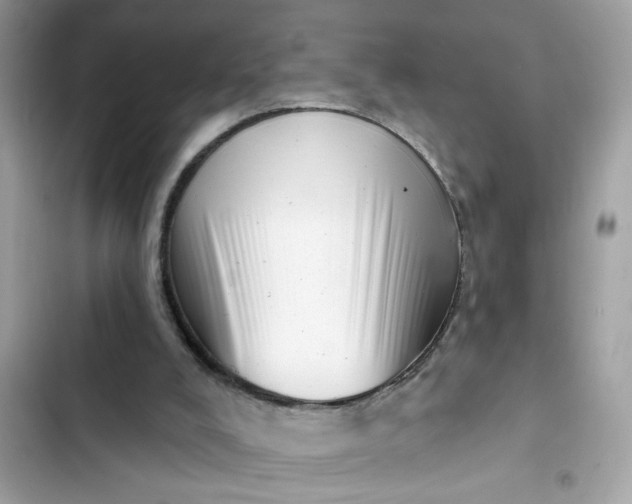 X0000102350008200808151801