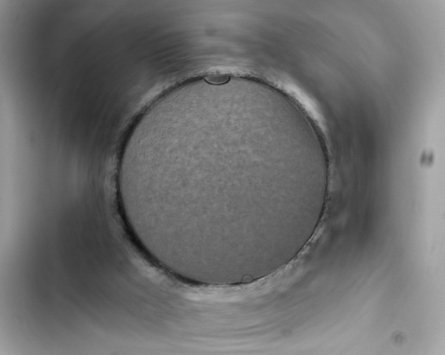 X0000102350009200808151801