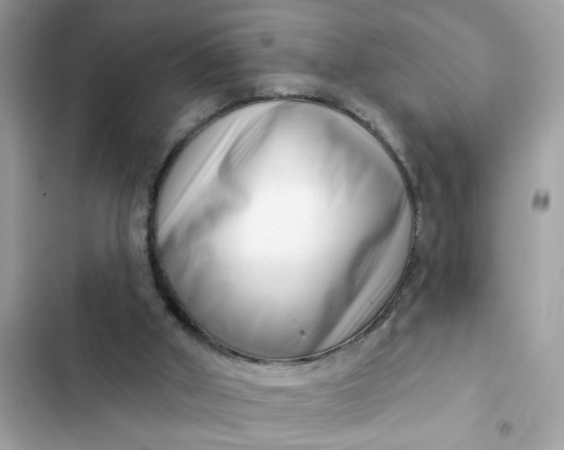 X0000102350010200808151801