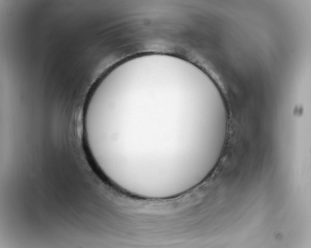 X0000102350011200808151801